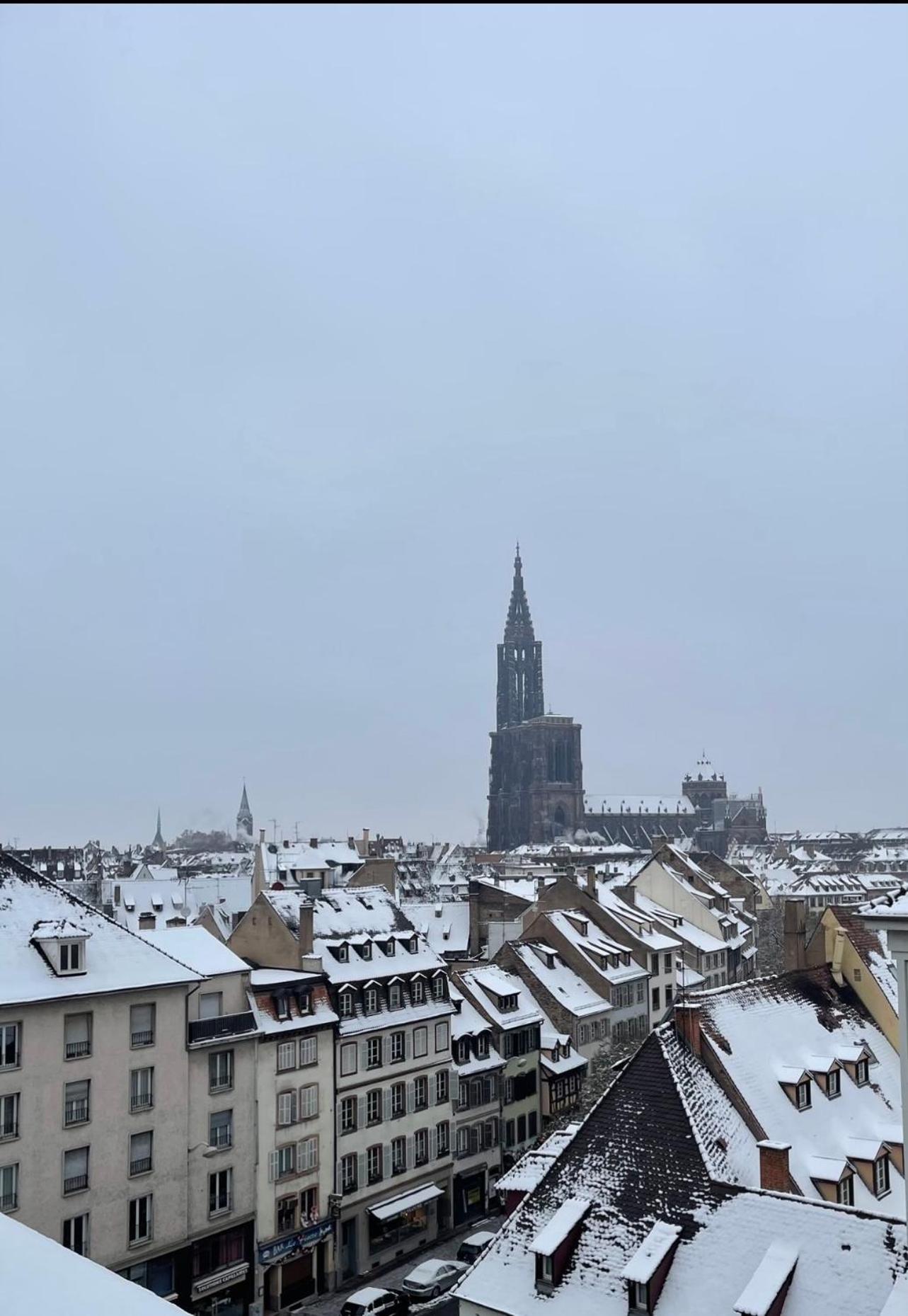 La Rose Apartment Strasbourg Bagian luar foto