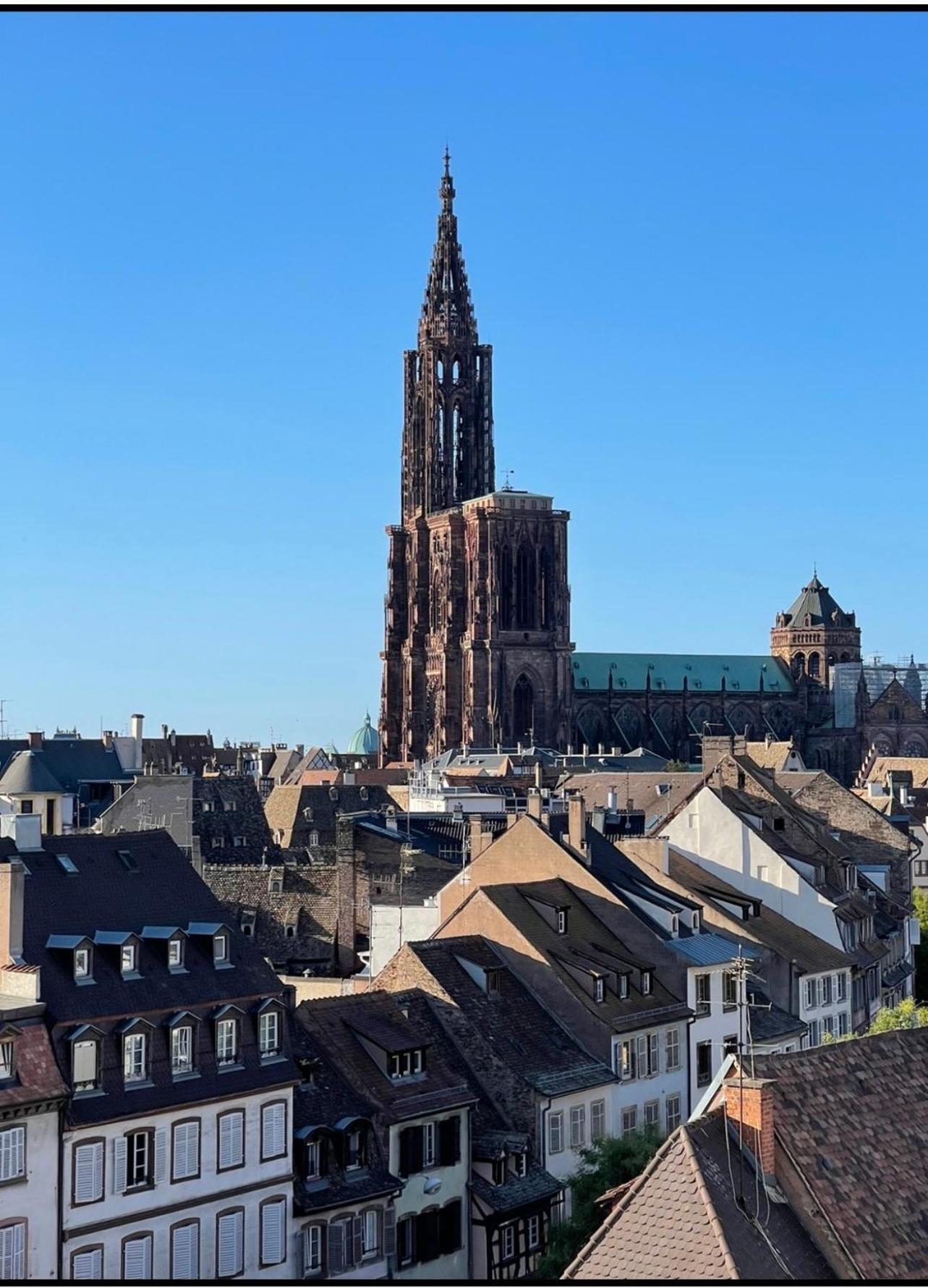 La Rose Apartment Strasbourg Bagian luar foto